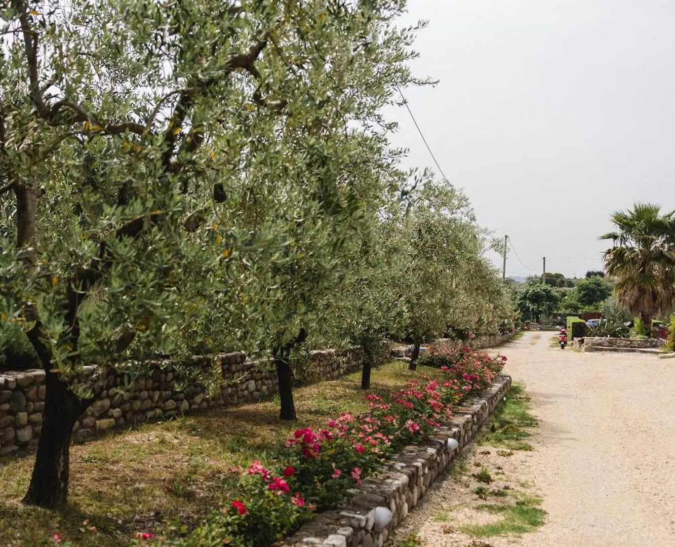 La Rondinella Apartments Bardolino Holiday home